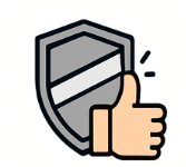 Shield Icon